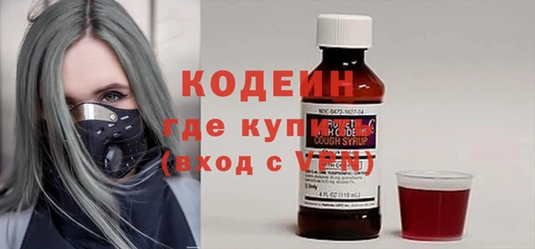 индика Аркадак