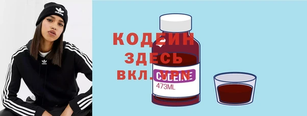 индика Аркадак