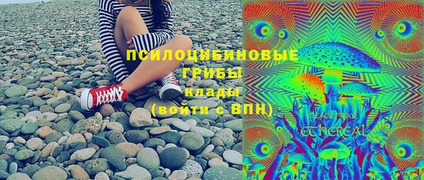 индика Аркадак