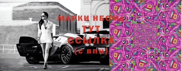 индика Аркадак