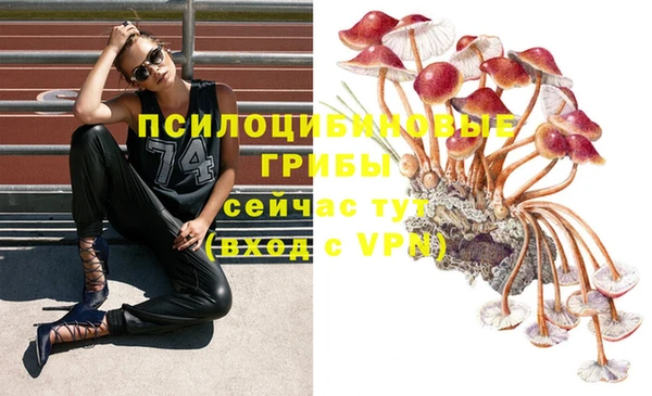 spice Арсеньев