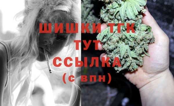 spice Арсеньев