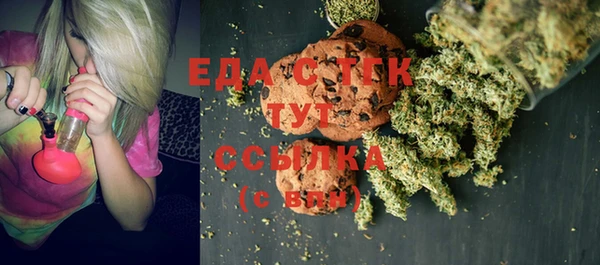 индика Аркадак