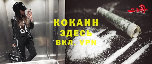 индика Аркадак