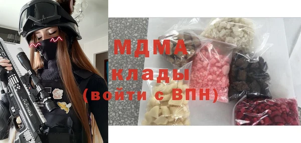 индика Аркадак