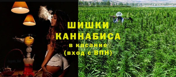 spice Арсеньев
