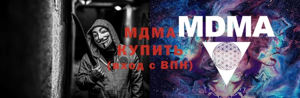 индика Аркадак